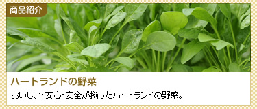 商品紹介