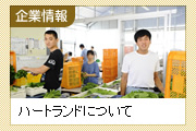企業情報