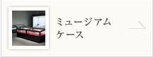 ミュージアムケース