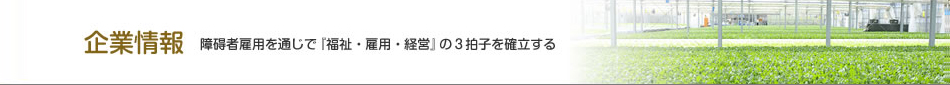 企業情報　障碍者雇用を通じで『福祉・雇用・経営』の３拍子を確立する