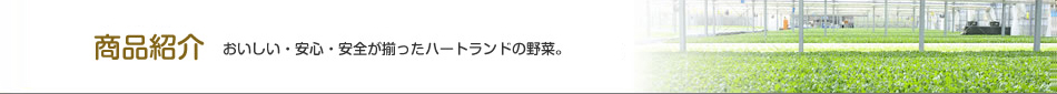 商品紹介　おいしい・安心・安全が揃ったハートランドの野菜。