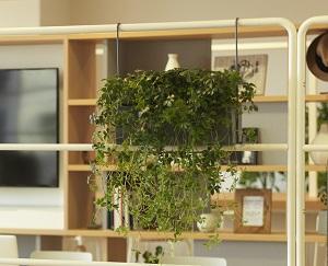 写真：植栽プランターの使用イメージ
（※首都圏限定での提案）