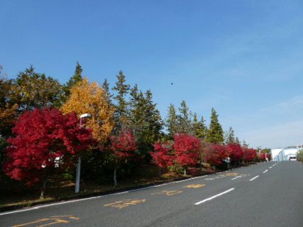 季節ごとの花が植えられた工場内の花壇