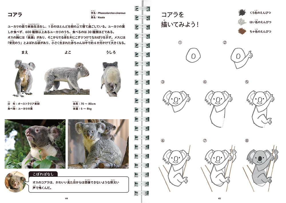 横浜市内3動物園監修 コクヨのえほん おえかきずかん を発売 ニュース ニュースルーム コクヨ