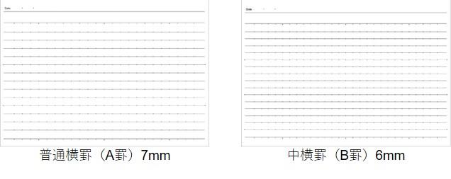 普通横罫（A罫）7mm、中横罫（B罫）6mm