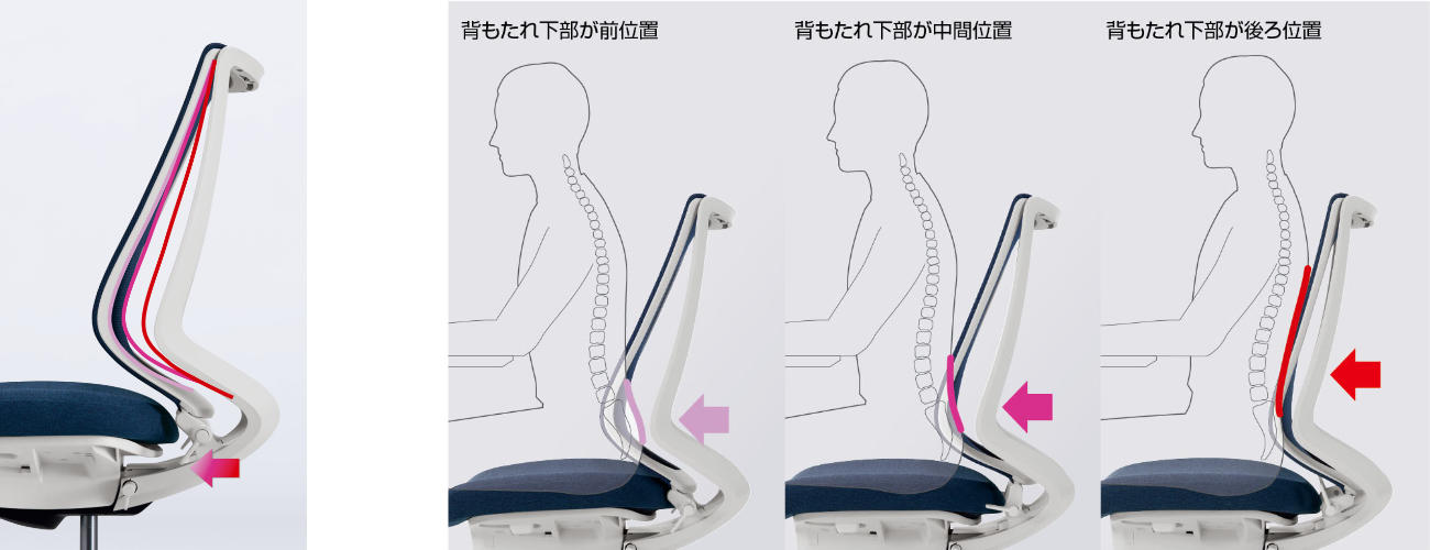 背骨のＳ字形状を保つサポート機能