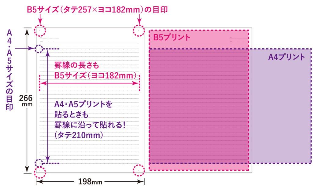 プリントが貼りやすいように工夫された罫内容