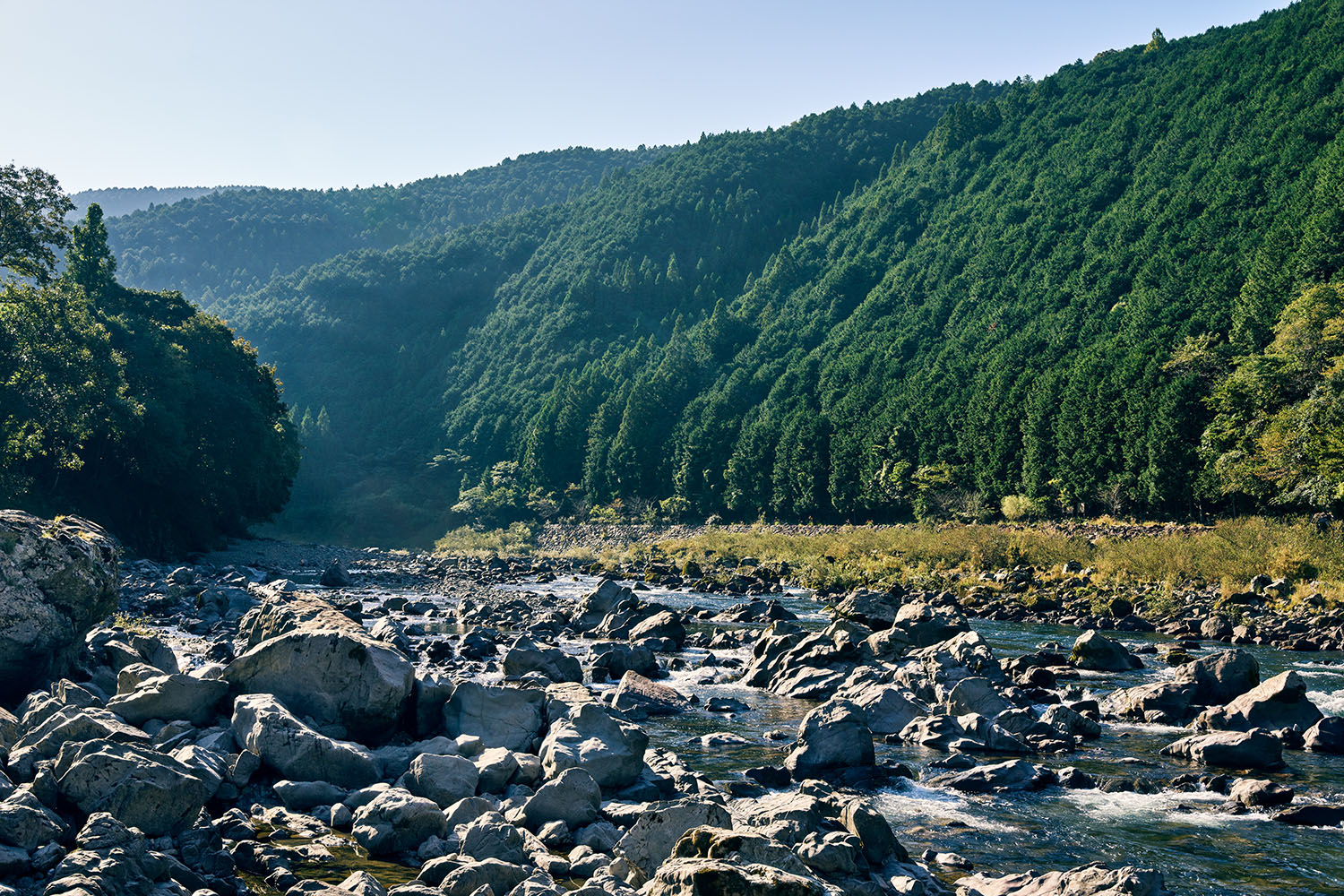 高知県四万十町の森林と河川の風景が写っている
