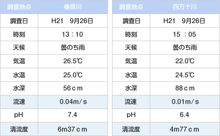 清流度調査結果