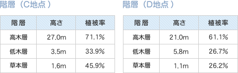 階層ごとの高さ