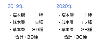 植物の出現種数